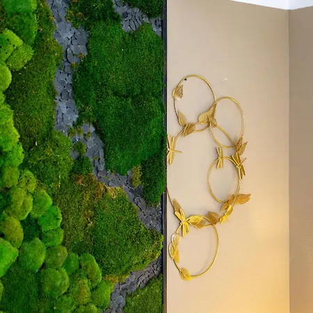 Le Lucien Eco-appart'hotel - - Centre - Wifi - Parking Prive - Classe 4 Etoiles